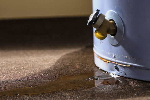 Best Sewage cleanup and water damage restoration  in Fowlkes, TN