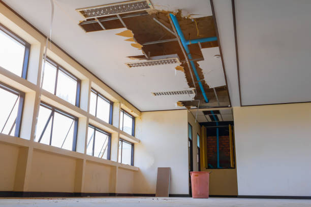 Best Carpet water damage restoration  in Fowlkes, TN