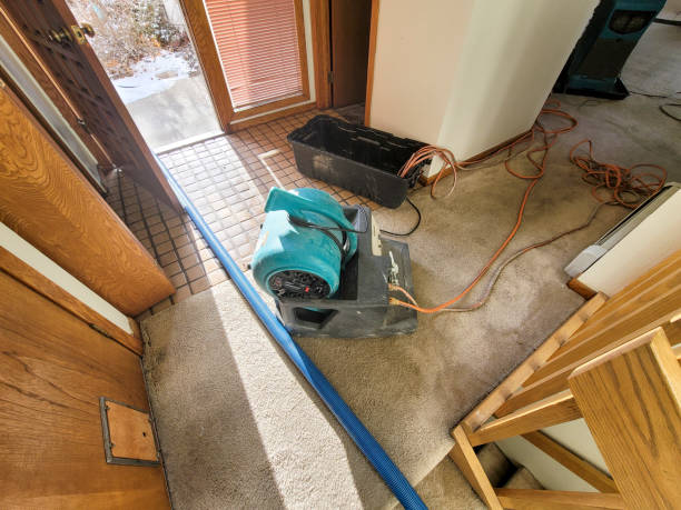 Best Commercial water damage restoration  in Fowlkes, TN