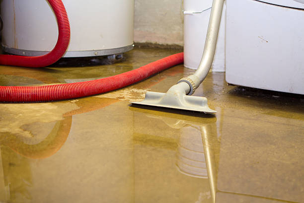 Best Emergency water damage restoration  in Fowlkes, TN