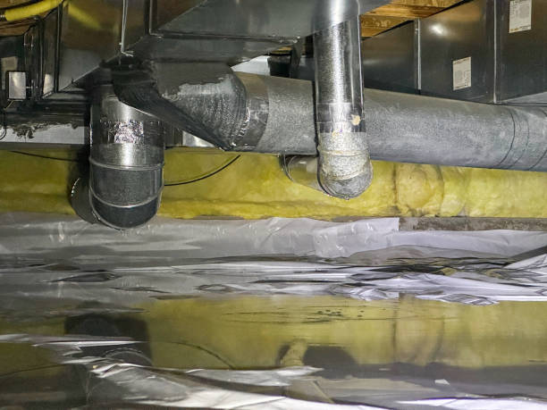 Best Fire Damage Restoration  in Fowlkes, TN