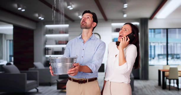 Best Water damage restoration process  in Fowlkes, TN